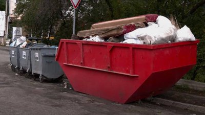 У Чернівцях ялинки можна здати в контейнери: перелік адрес У Чернівцях ялинки можна здати в контейнери: перелік адрес