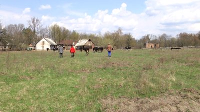 На Житомирщині жителі села Калинівка розповіли про своє життя у Чорнобильській зоні відселення На Житомирщині жителі села Калинівка розповіли про своє життя у Чорнобильській зоні відселення