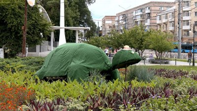 Черепаха біля центрального парку у Вінниці