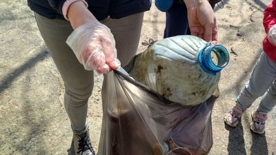 Зібрали 100 мішків сміття: у Сєвєродонецьку провели толоку Зібрали 100 мішків сміття: у Сєвєродонецьку провели толоку