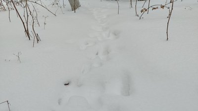 Погода у Вінницькій області