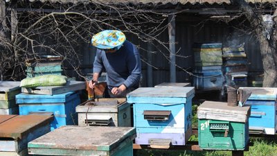 Бджільництво на Харківщині: як пасічники готуються до нового сезону Бджільництво на Харківщині: як пасічники готуються до нового сезону