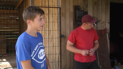 На Житомирщині сім'я старостині села виховує семеро дітей, п’ятеро з яких – прийомні На Житомирщині сім'я старостині села виховує семеро дітей, п’ятеро з яких – прийомні