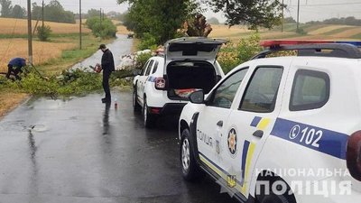 Негода на Рівненщині: енергетики назвали кількість сіл без електрики Негода на Рівненщині: енергетики назвали кількість сіл без електрики