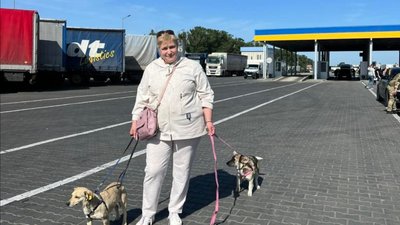 З Одеської області до Румунії вивезли 16 собак та двох котів З Одеської області до Румунії вивезли 16 собак та двох котів