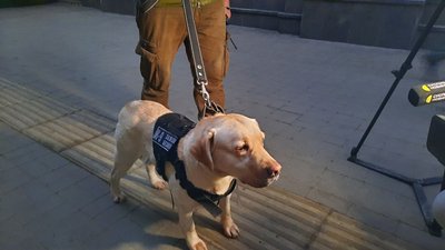 "Поїзд Єднання", що сполучає Ужгород та Краматорськ, зробив зупинку у Львові "Поїзд Єднання", що сполучає Ужгород та Краматорськ, зробив зупинку у Львові