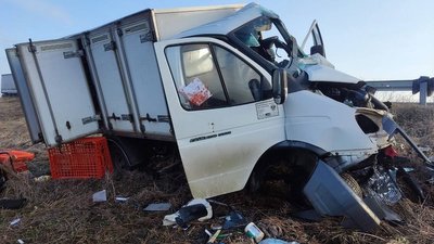 На Житомирщині "ГАЗель" наїхала на електроопору – водія затисло деформованими конструкціями автомобіля