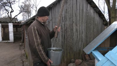 Врожай у воді: на підтоплених волинських угіддях оселилися лебеді та чаплі Врожай у воді: на підтоплених волинських угіддях оселилися лебеді та чаплі