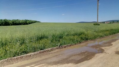 У Чернівцях на аукціоні здадуть в оренду понад 13 гектарів землі на сім років У Чернівцях на аукціоні здадуть в оренду понад 13 гектарів землі на сім років