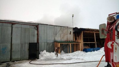 На Житомирщині горіла пилорама – займання ліквідували На Житомирщині горіла пилорама – займання ліквідували