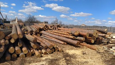 "Нелегальну" деревину на Рівненщині передають для ЗСУ. Скільки вже віддали