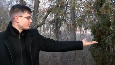 Чим годувати птахів в мороз Чим годувати птахів в мороз