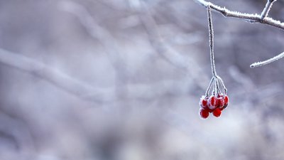 Дощі, а згодом і заморозки прийдуть на зміну сухій і теплій погоді на Вінниччині