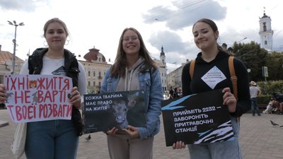 Захист слабких — справа сильних. У Чернівцях провели марш за права тварин Захист слабких — справа сильних. У Чернівцях провели марш за права тварин