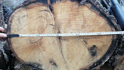 1000 доларів щомісяця: на Одещині підприємця обвинувачують у підкупі поліцейського 1000 доларів щомісяця: на Одещині підприємця обвинувачують у підкупі поліцейського