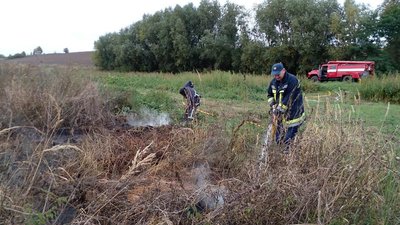 На Івано-Франківщині рятувальники гасили пожежу торфу