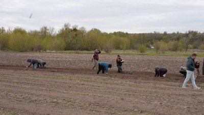 На Черкащині ветеранів вчили вирощувати спаржу