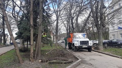 У Львові обрали міських садівників. Що вони робитимуть У Львові обрали міських садівників. Що вони робитимуть