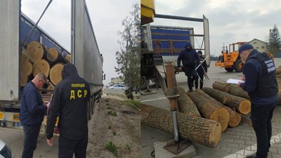 На Вінниччині викрили групу з підприємців та посадовців лісгоспу, які займалися незаконними рубками На Вінниччині викрили групу з підприємців та посадовців лісгоспу, які займалися незаконними рубками