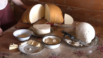 Бізнес на висоті. Як відкриття ринку землі впливає на прикарпатські полонини Бізнес на висоті. Як відкриття ринку землі впливає на прикарпатські полонини