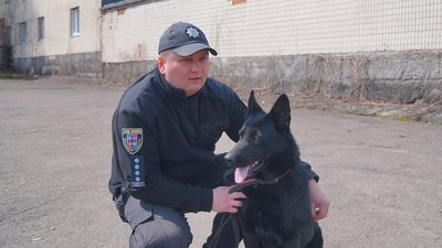кінологи кінологи