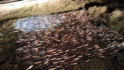 Незаконний вилов риби на Вінниччині: двоє чоловіків завдали збитки для рибного господарства на майже 1,3 млн грн
