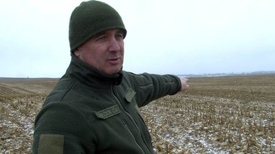 На Волині невідомі застрелили трьох диких кабанів: що кажуть лісівники та поліцейські
