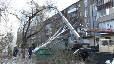Ліквідація наслідків негоди дерева у Запоріжжі, 27 листопада 2023 року Ліквідація наслідків негоди дерева у Запоріжжі, 27 листопада 2023 року
