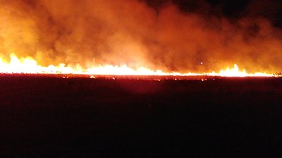 Поширення даних, підпал трави, крадіжки. За які злочини каратимуть жорсткіше, пояснили в Дніпрі