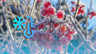 На Миколаївщині очікується похолодання: подекуди можливі заморозки