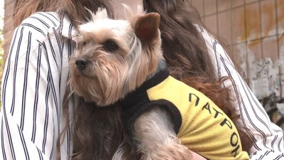 "Дитячий фронт": історії юних волонтерів із Черкащини