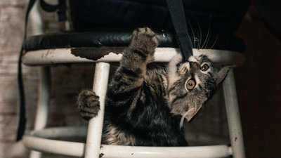 “Поїхали в нікуди”: історії людей, які евакуювалися з Великописарівської громади на Сумщині “Поїхали в нікуди”: історії людей, які евакуювалися з Великописарівської громади на Сумщині