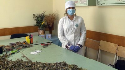 Студентка з Луцька з Луцька Христина Юхно вготовляє чаї для військових Студентка з Луцька з Луцька Христина Юхно вготовляє чаї для військових