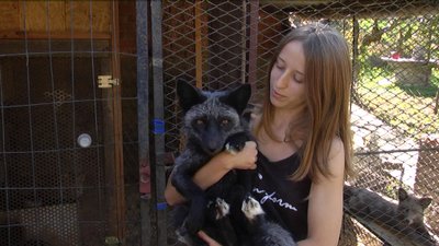 Вінничанка влаштувала зоопарк в житловому будинку Вінничанка влаштувала зоопарк в житловому будинку