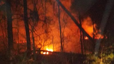 На Харківщині майже добу гасили пожежу у лісництві