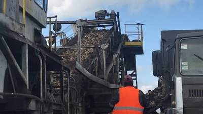 На Волині триває сезон заготівлі цукрових буряків: які прогнози