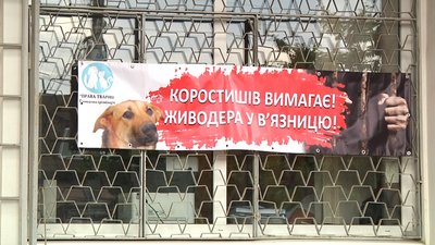 На Житомирщині суд заслухав свідків у справі про катування тварин На Житомирщині суд заслухав свідків у справі про катування тварин
