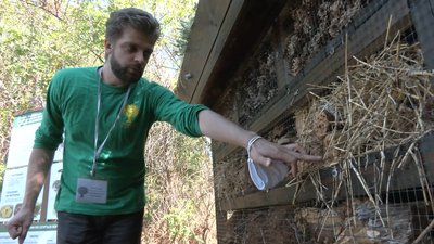 У "комашиному готелі" Черкаського зоопарку з’явились перші мешканці У "комашиному готелі" Черкаського зоопарку з’явились перші мешканці