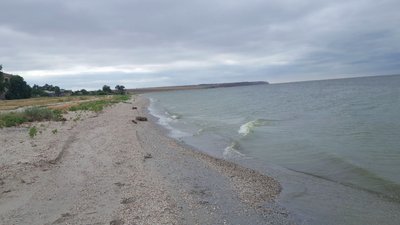 Суд повернув у держвласність понад 1600 га земель водного фонду Білозерського лиману