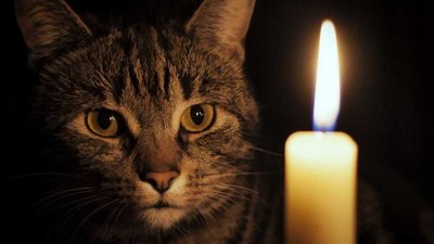 Графік погодинних відключень світла на Полтавщині 17 лютого
