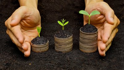 Відкриття ринку землі: що треба зробити, щоб продати свою ділянку?