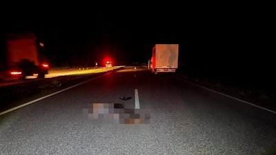 На Вінниччині під колесами автівки загинув 80-річний чоловік