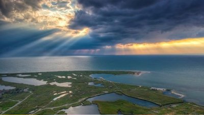 Причиної загибелі риби у Молочному лимані стало різке зниження температури