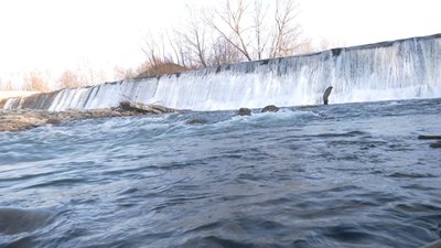 Зняли з розгляду. Депутати Вигодської селищної ради не розглянули питання будівництва ГЕС на річці Свіча
