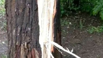 У Чернівцях блискавка пошкодила дах башти дитячої лікарні