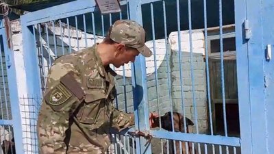 "Кінологічний спецназ". На служби у правоохоронців Миколаївщини 32 собаки "Кінологічний спецназ". На служби у правоохоронців Миколаївщини 32 собаки