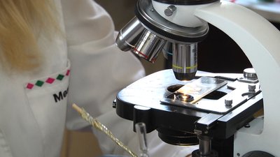 Судмедексперти у Житомирі можуть залишитися без роботи