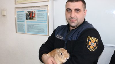 У Харкові пожежники врятували кроленя, яке покинули у квартирі У Харкові пожежники врятували кроленя, яке покинули у квартирі