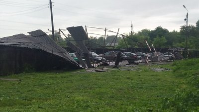 Негода у Сумах: дощ, шквали вітру та повалені дерева (фото)