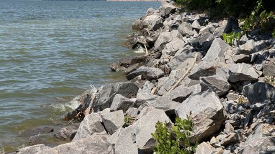 Берегоукріплення Кременчуцького водосховища